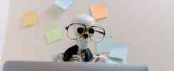 Skeleton wearing glasses and a tie working at a desk with sticky notes on the wall, symbolizing burnout from a 9-to-5 office job.